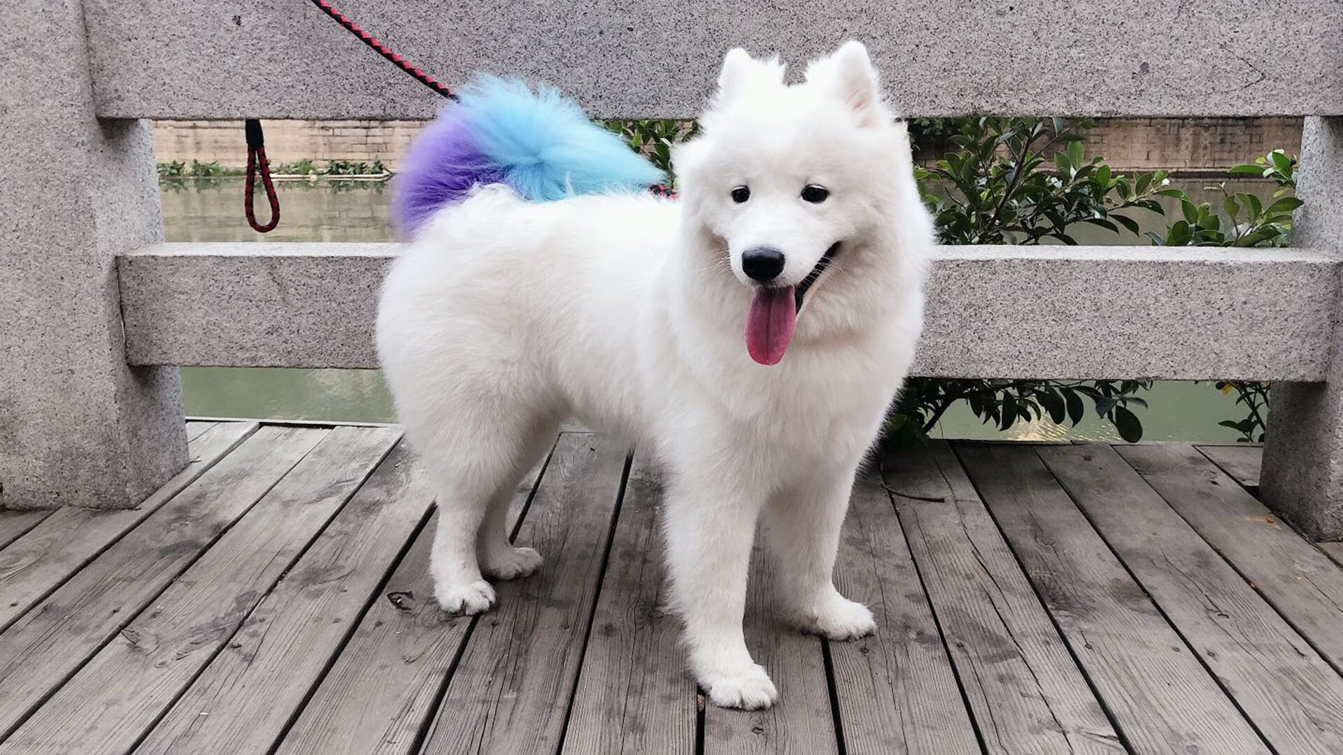 Dota 2 新晋战队挑战传统强队，中国dota2新战队