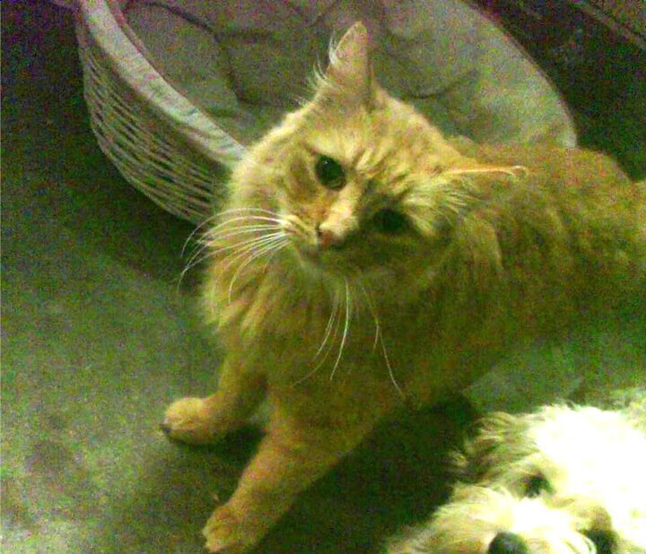 开云kaiyun-QQ三国线上战神争霸赛，实力派玩家争夺第一，qq三国战神过关