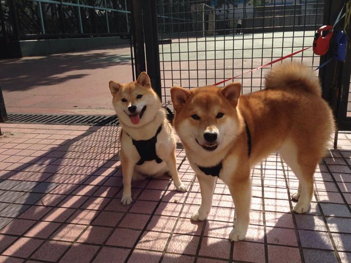 _未来运动装备展：科技赋能运动新体验_，科技运动装备广告词