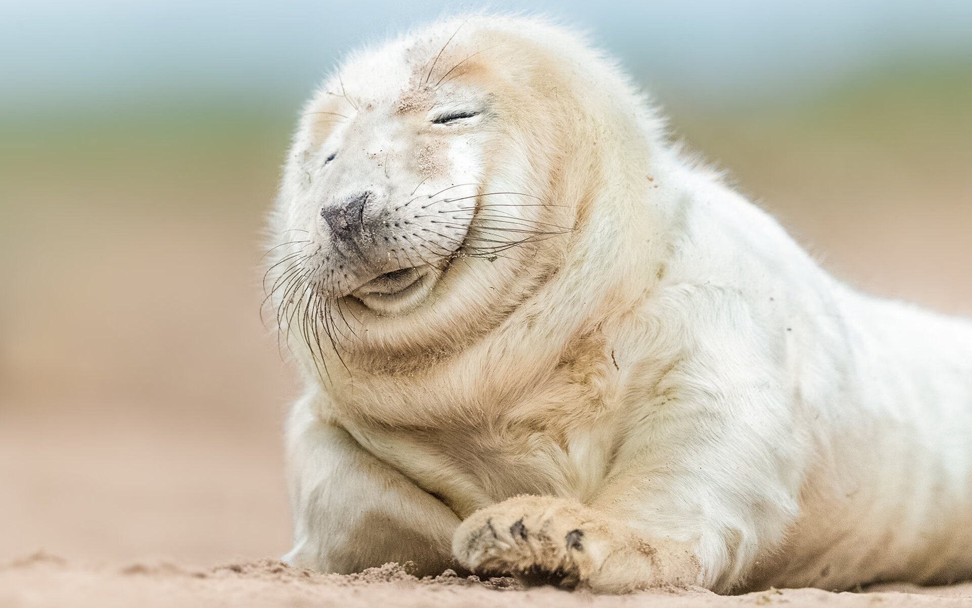 kaiyun官方入口登录-“青训基地完工，打造优质青少年成长环境”，青训基地是什么