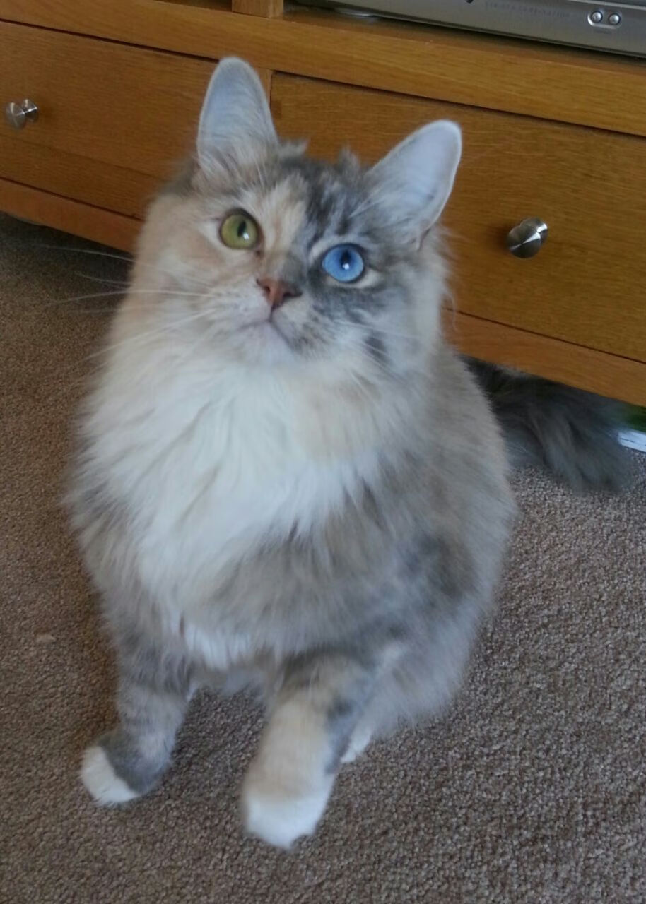 开云官方-“青春筑梦”青少年篮球营在深圳连续举办，推动青苗成长，深圳青少年篮球训练