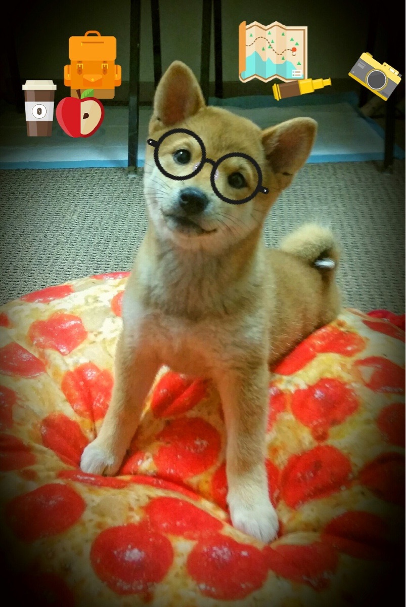 未来赛事：新规则、新赛制引发期待，未来赛车图片