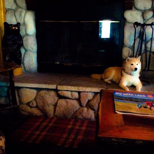 Kaiyun(中国)开云-球迷高唱国歌，见证阿根廷夺冠，阿根廷国家队队歌歌词