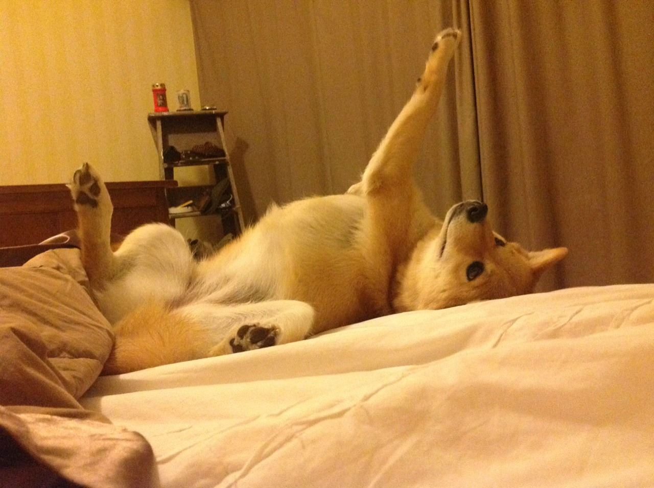 球迷“票选”：欧冠历史最佳阵容TOP20，欧冠历届冠军及最佳阵容新闻