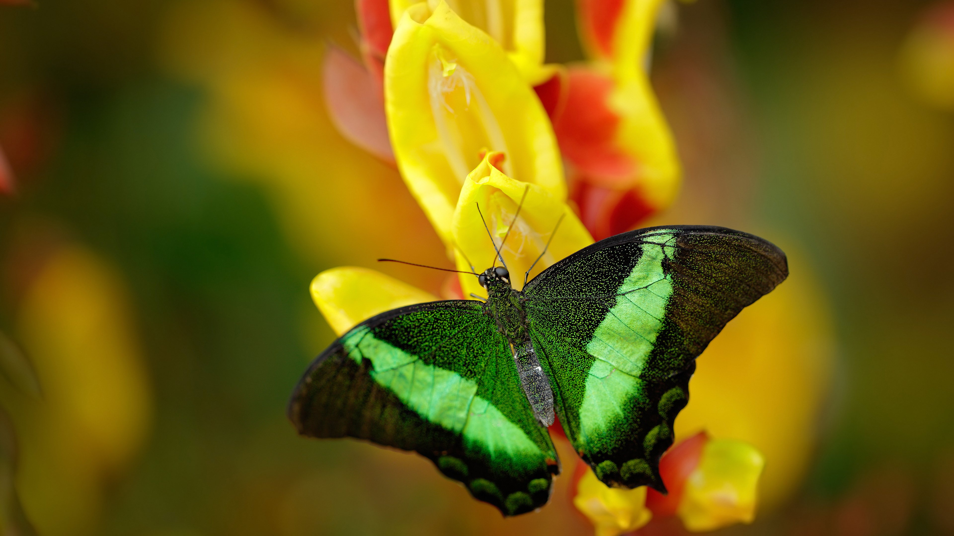足球直播后台系统支持多机位弹性切换，足球场直播设备