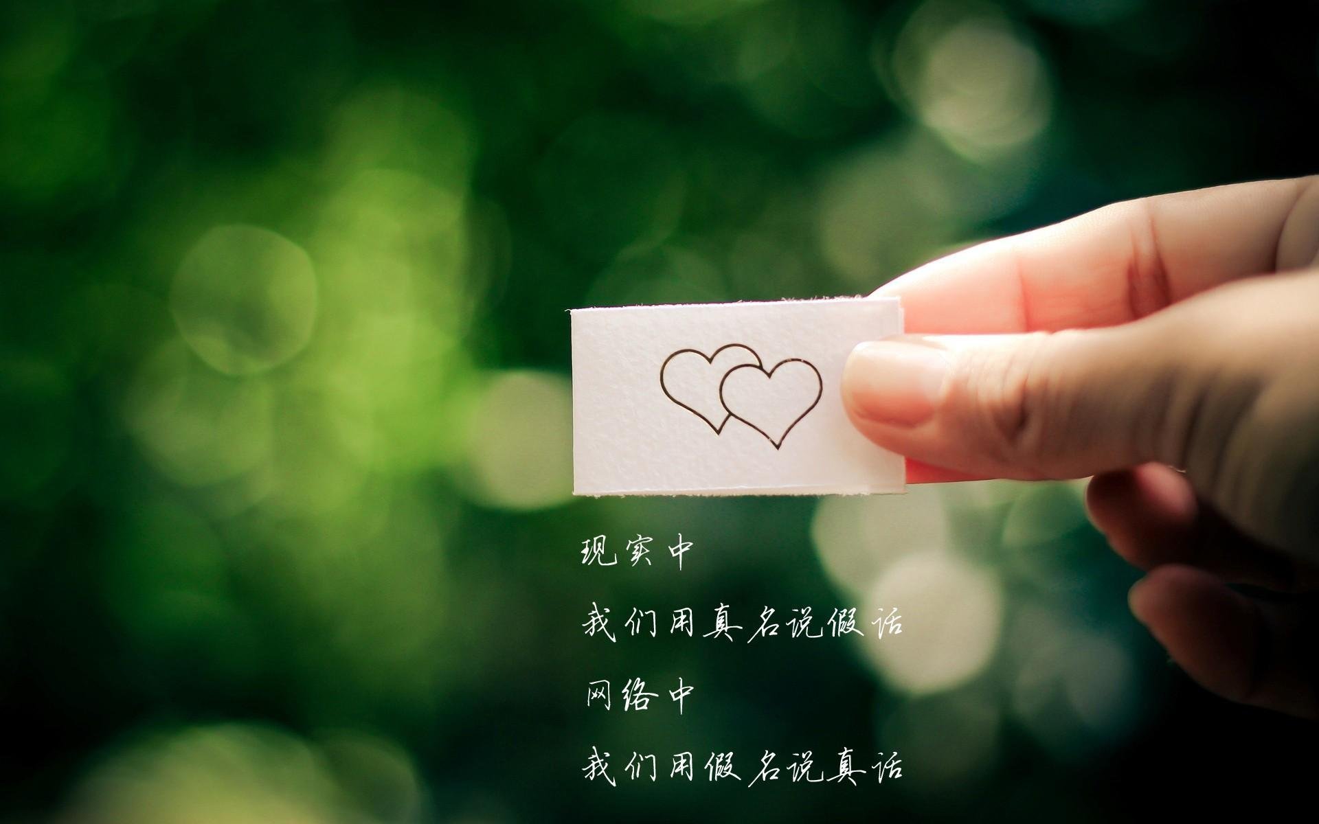 开云官方网页登录-青少年“未来战将”全国篮球荣誉赛在合肥火热开启，合肥市青少年篮球比赛