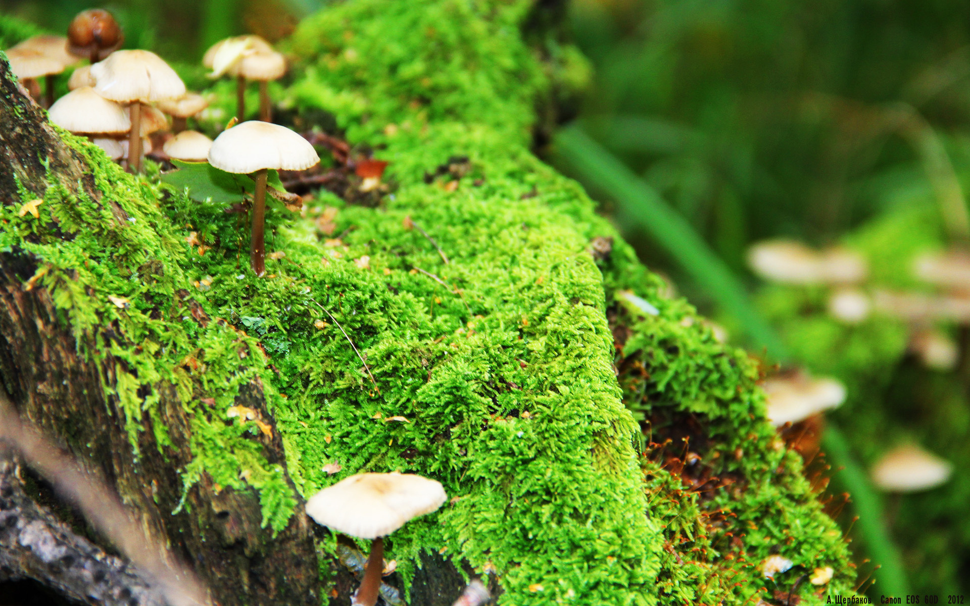 kaiyun.com-＂极速飞跃＂极限跳箱大赛，跳跃的挑战无限可能，下载极限跳跃