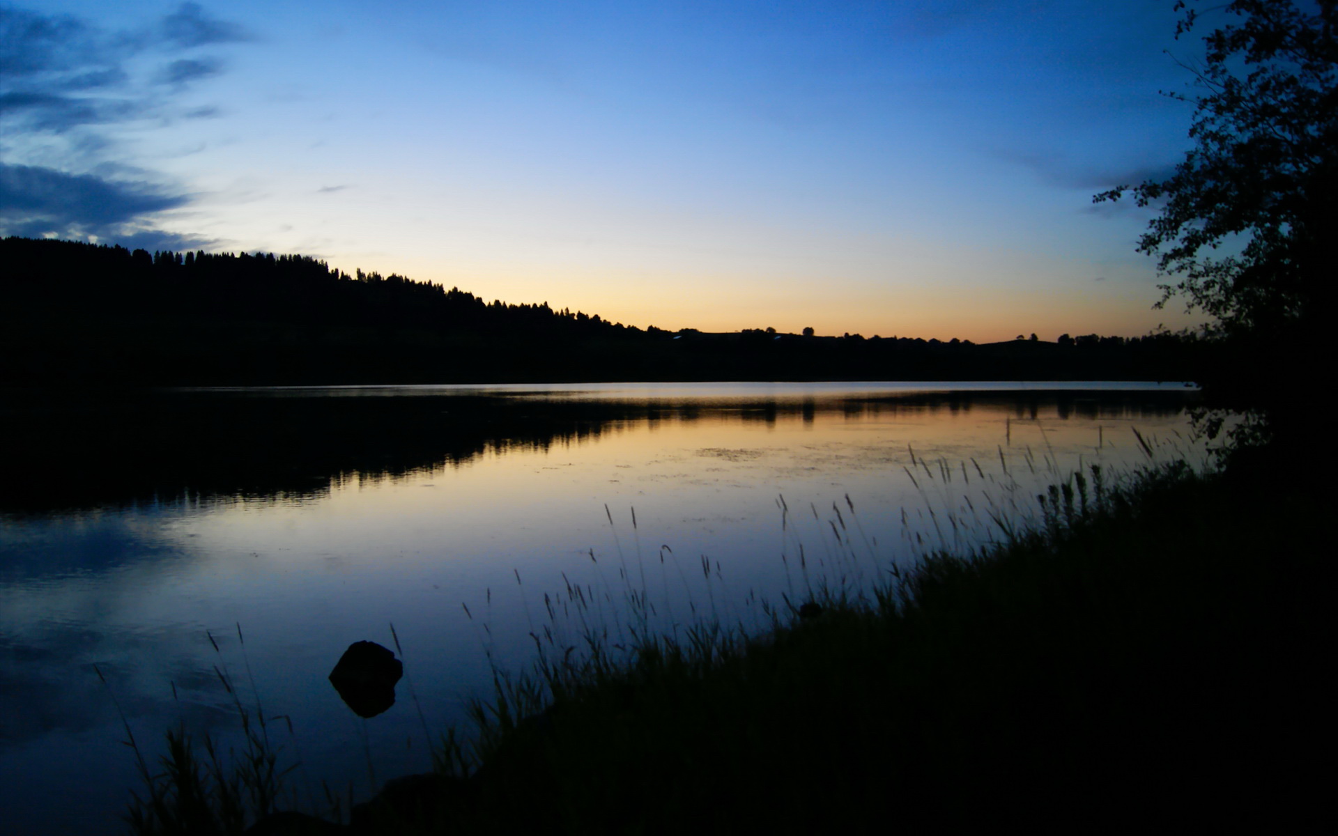 LCS本土新秀强势崛起,lcs队伍介绍
