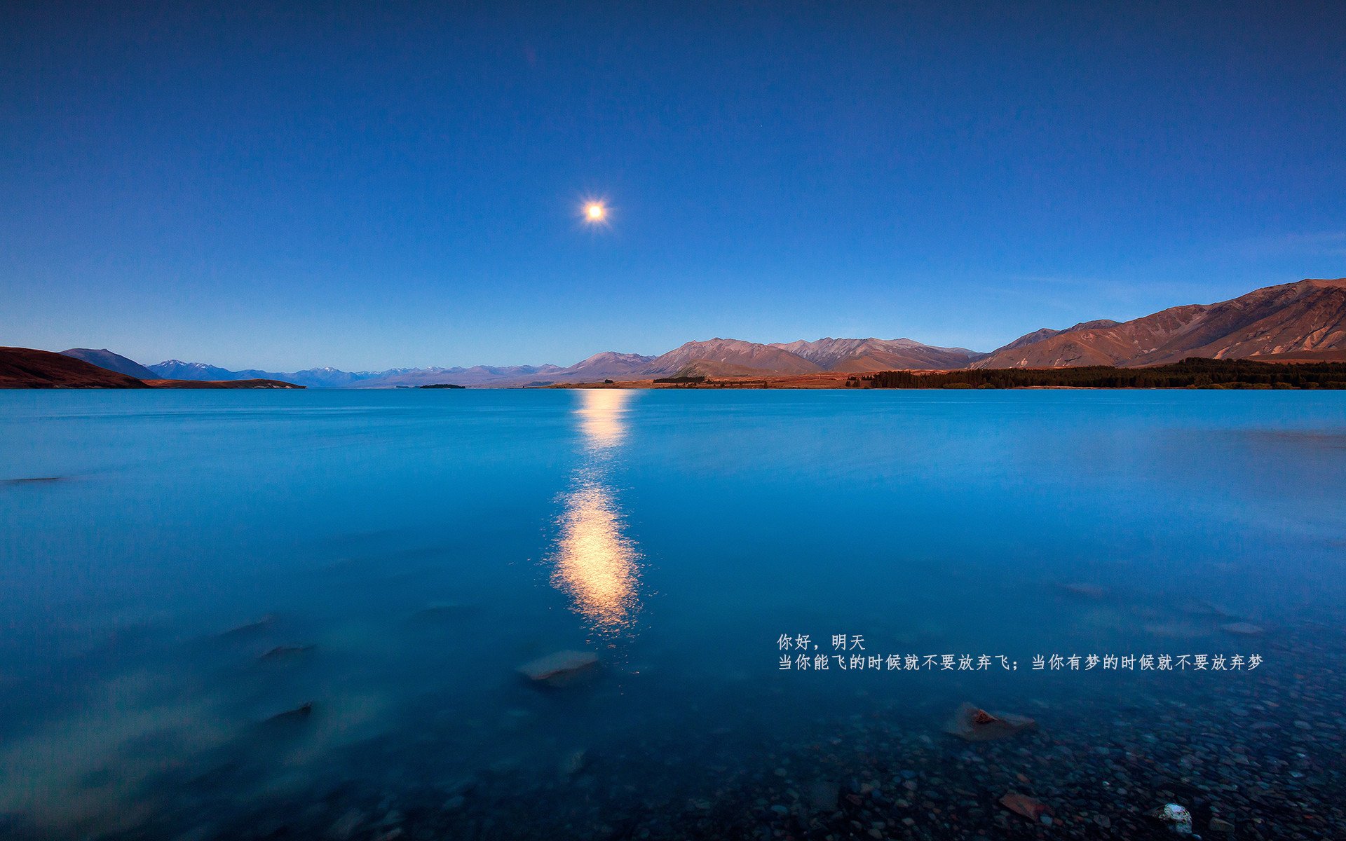 勒沃库森战平比赛，积分暂时稳定，勒沃库森比赛视频聚胜顽球汇