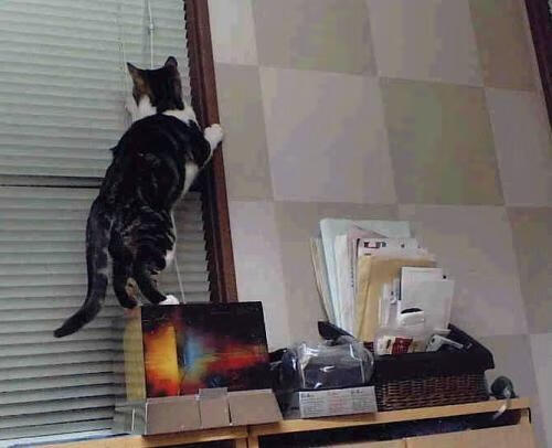 开云kaiyun-勇士击败太阳，库里与杜兰特正面交锋占上风，库里pk杜兰特