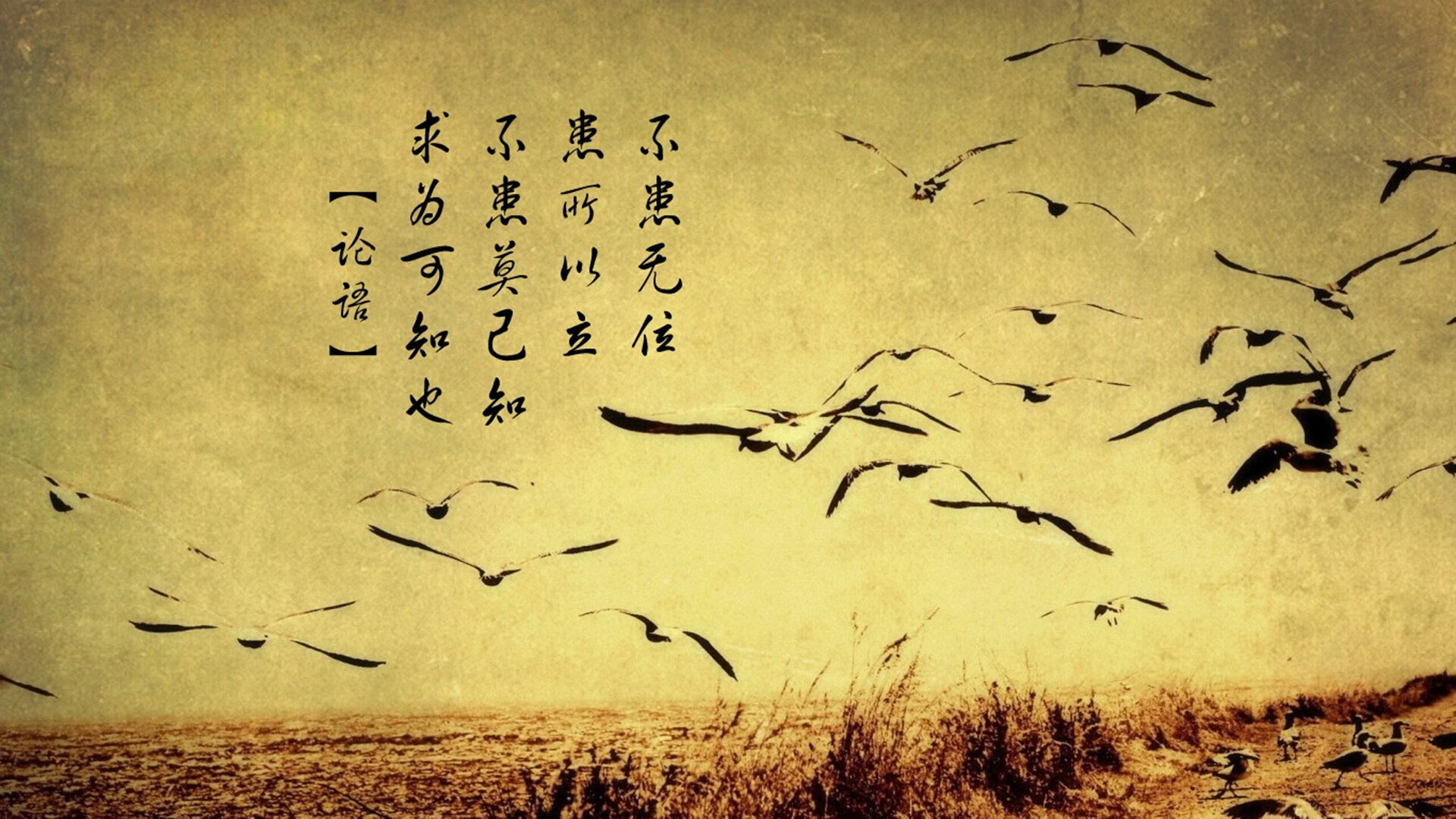 开云kaiyun-北京国安主场迎战上海上港，一场激烈的对决即将展开！，北京国安对上海上港比赛情况