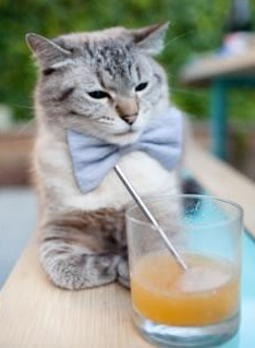 开云kaiyun-墨西哥教练：我们不是来滑雪的，是来踢球的，墨西哥教练_我们不是来滑雪的,是来踢球的