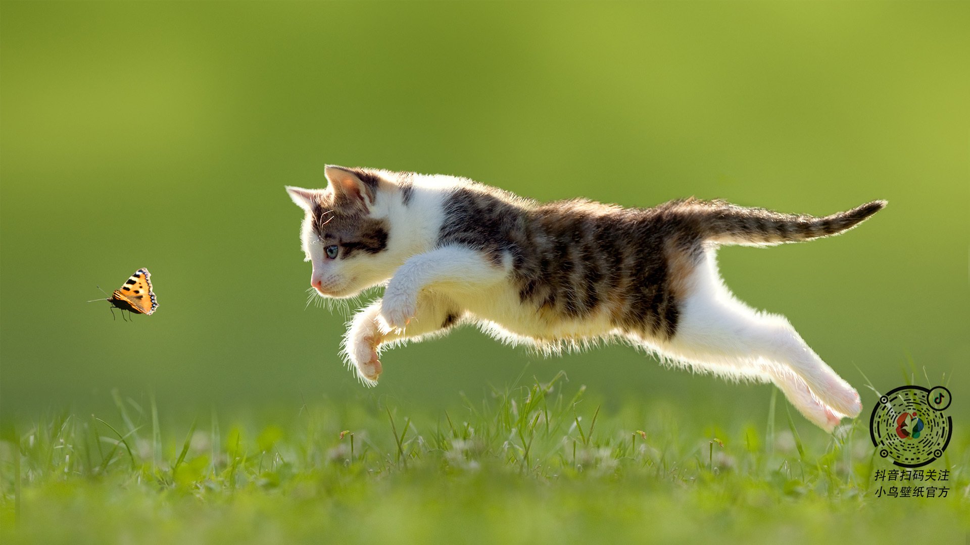 掘金连胜继续状态火热,掘金能夺冠吗