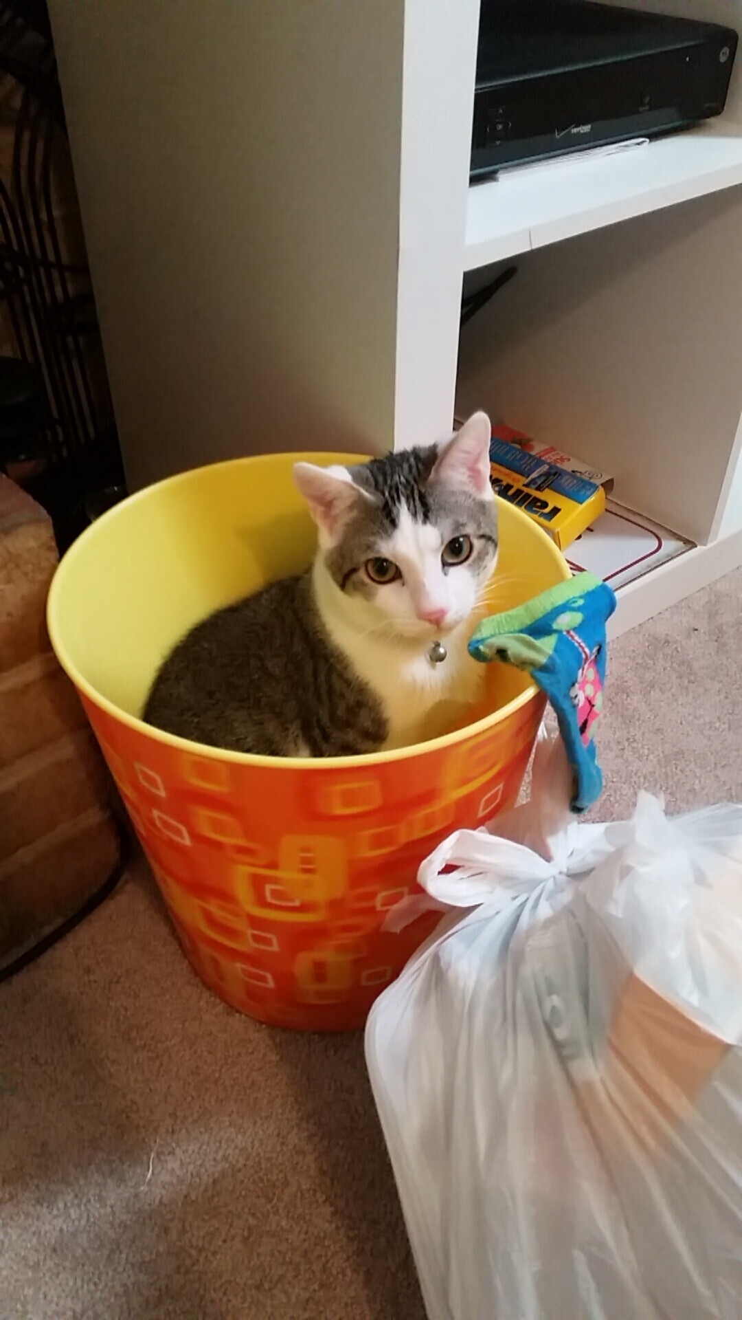 开云·体育官网-摩纳哥冲击法甲前三，摩纳哥参加法甲