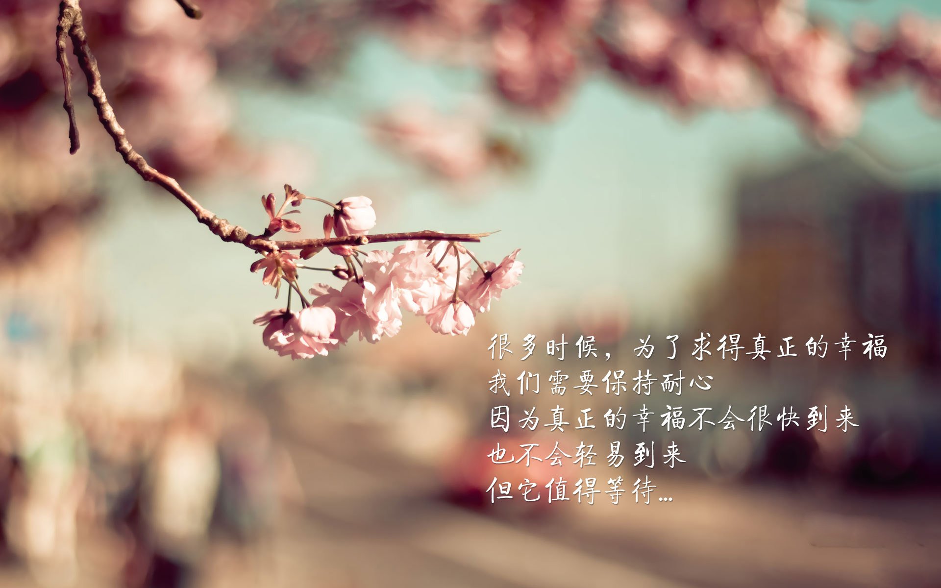 kaiyun中国官方网站-球队风光赛季胜出，外界纷纷点赞支持，球队风采介绍