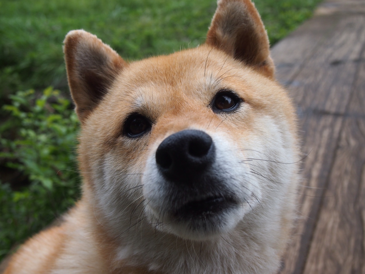 KAIYUN 中国大陆-电竞主播直播间粉丝互动与情感连接构建方法研究，主播和粉丝互动的话题有哪些