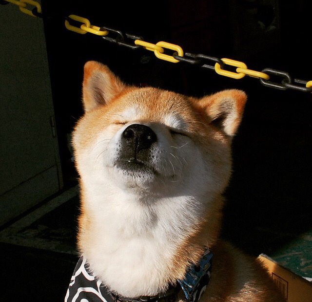 積極進攻,團隊協作,締造驚奇勝利,积极的团队