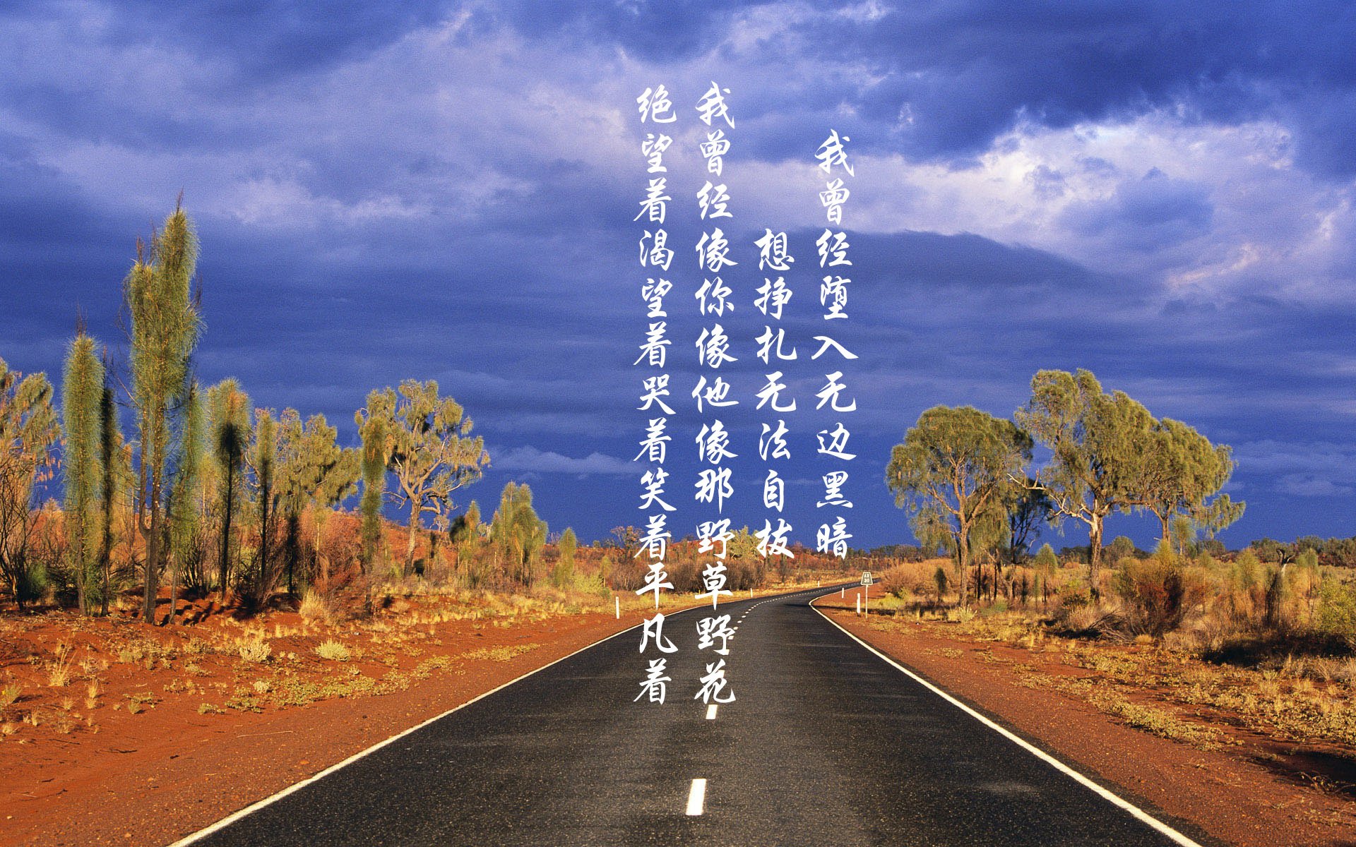 kaiyun官方入口登录-纽卡斯尔联主场1-0小胜诺丁汉森林，保级关键三分，纽卡斯尔联战绩