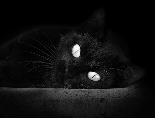 开云官网APP下载-联盟交易窗口是否应延长，lol交易额度限制