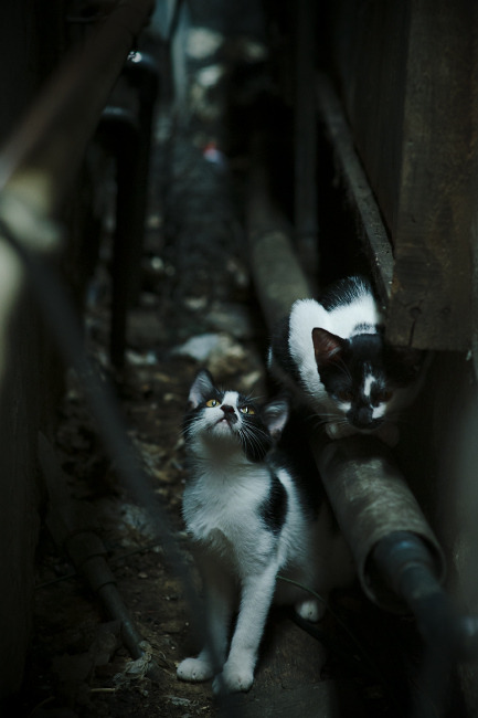 重要比赛,关键人物将如何表现?,关键人物 key