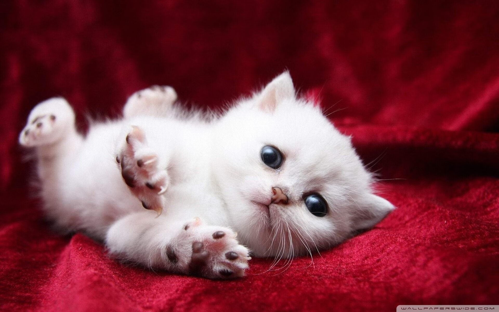 顽强抗争的壮士,为了胜利不惜一切代价!,顽强地战斗