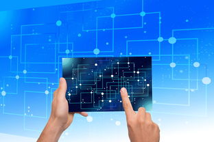 开云网页版-中国篮球教练员战术执行力提升路径及方法研究，如何提高篮球教练员水平