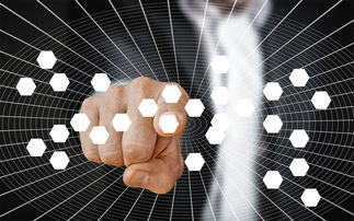 KAIYUNAPP-篮球专项技能动作视频资源开发及教学应用，篮球训练技能动作