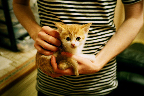 印度队未来发展:通过细化训练程序,提升团队协作力,印度部队最新消息