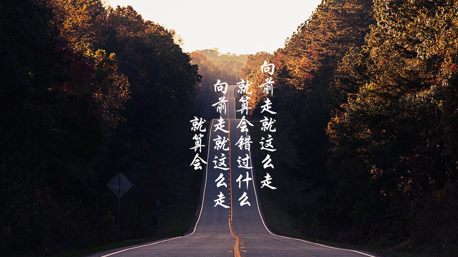 开云·Kaiyun网页版-速度分布曲线：前半程更快还是后半程？，速度分布曲线是什么形状