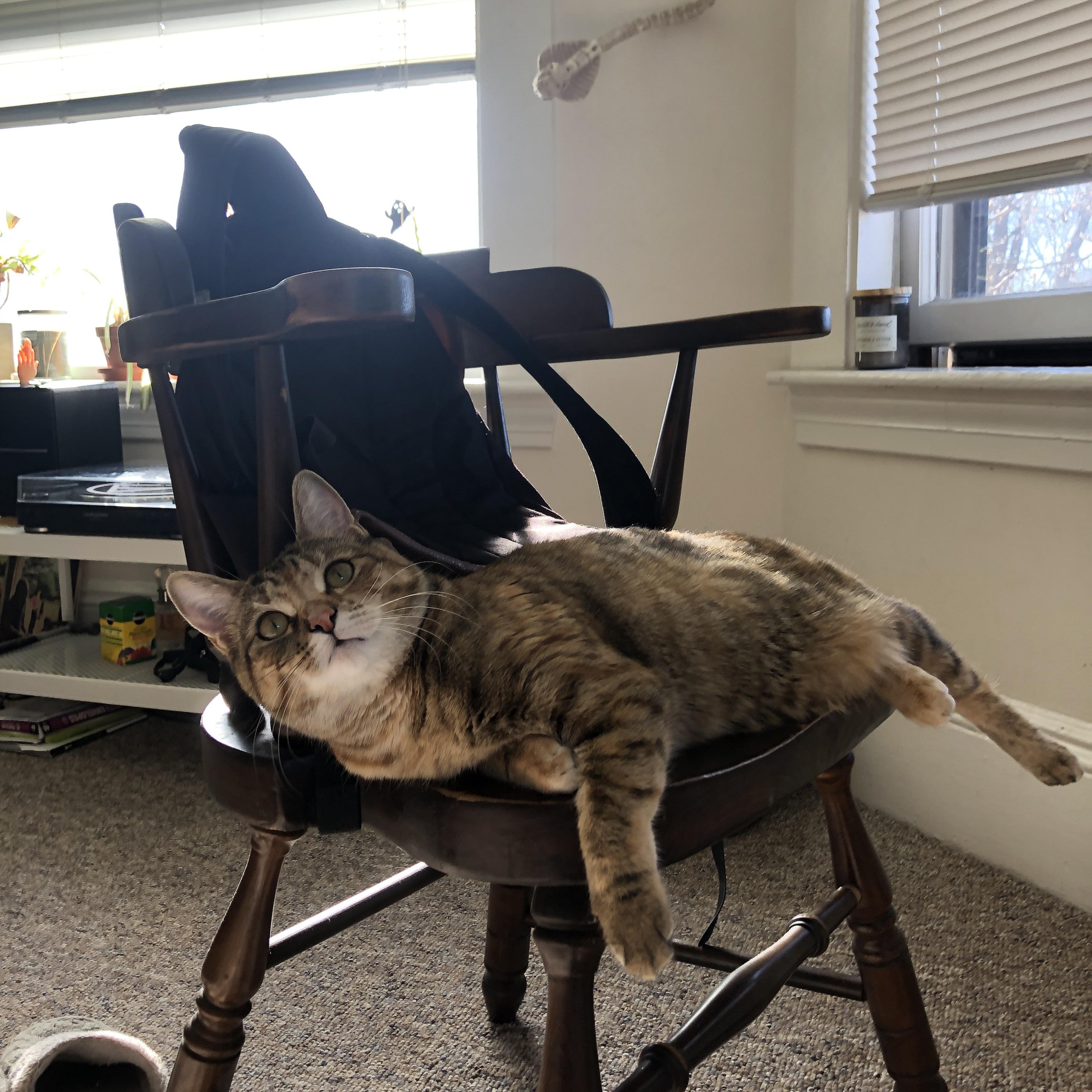 青少年足球训练质量参差不齐,青少年足球协调性