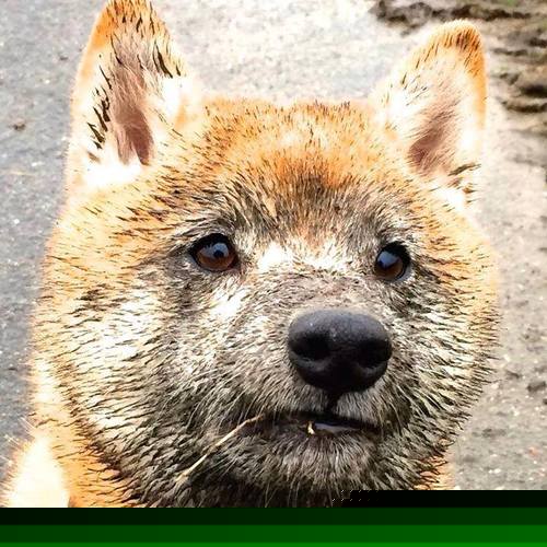 开云入口-国际足球赛事线上直播突破，互动体验更丰富，国际足球赛场节目