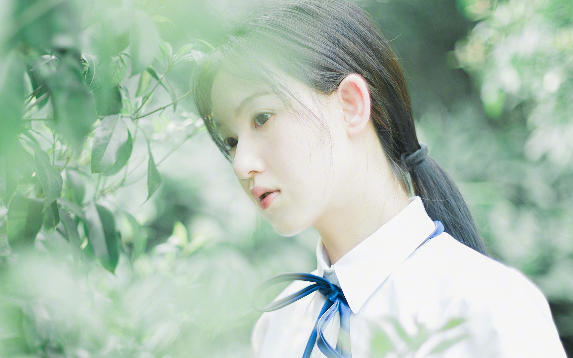 Kaiyun官方登录入口-女子4×200米自由泳接力澳大利亚展现团队精神，女子4×100米自由泳接力决赛