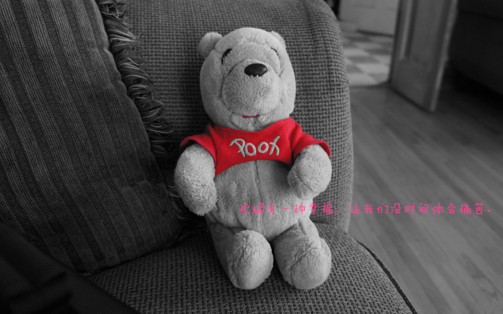 陈佳从跳水跨界蝶泳实现突破，跳水陈佳琪